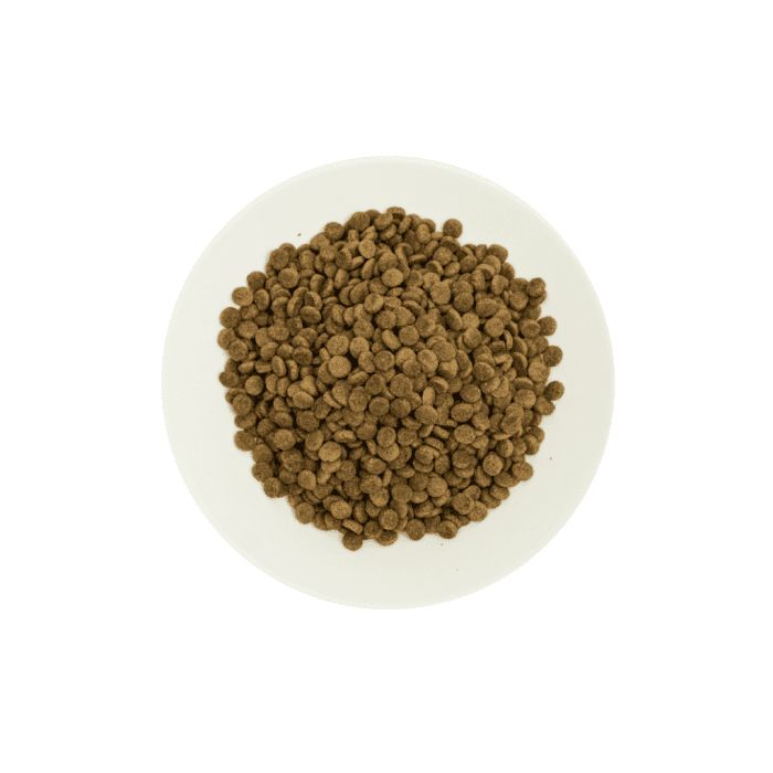 Prochoice Pro 33 Sterilized Cat Food, Salmon & Shrimp - Image 2