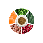Prochoice Pro 33 Sterilized Cat Food, Salmon & Shrimp - Image 3