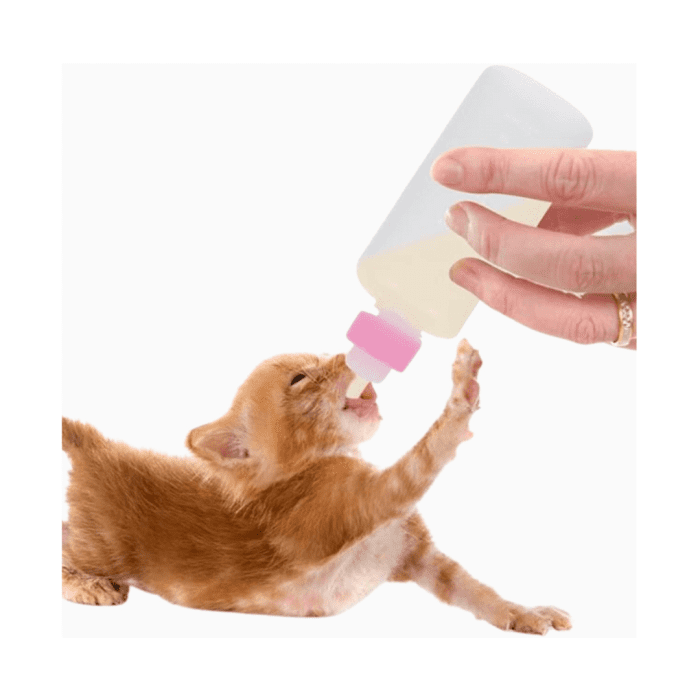 ⁦Patrimax Pet Feeding Bottle⁩ - الصورة ⁦3⁩