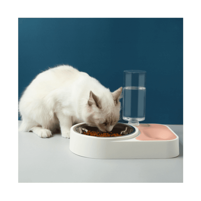 ⁦Food And Water Dispenser For Cats YC002⁩ - الصورة ⁦3⁩