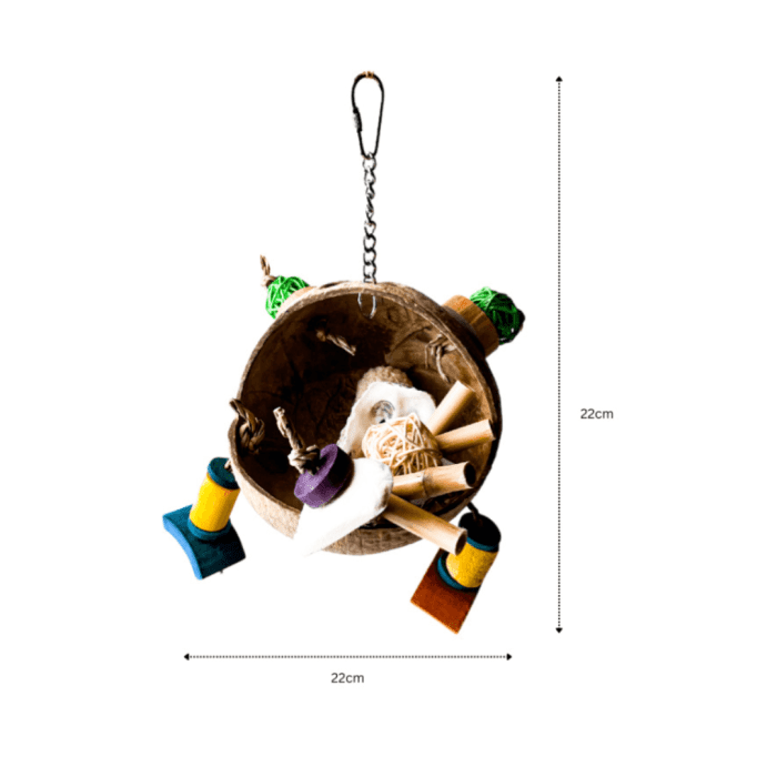 ⁦Coolla Pet Coconut Shell Bird Toy CAA0852⁩ - الصورة ⁦2⁩
