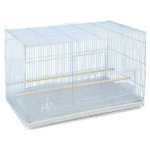 Dayang | Bird Cage 601