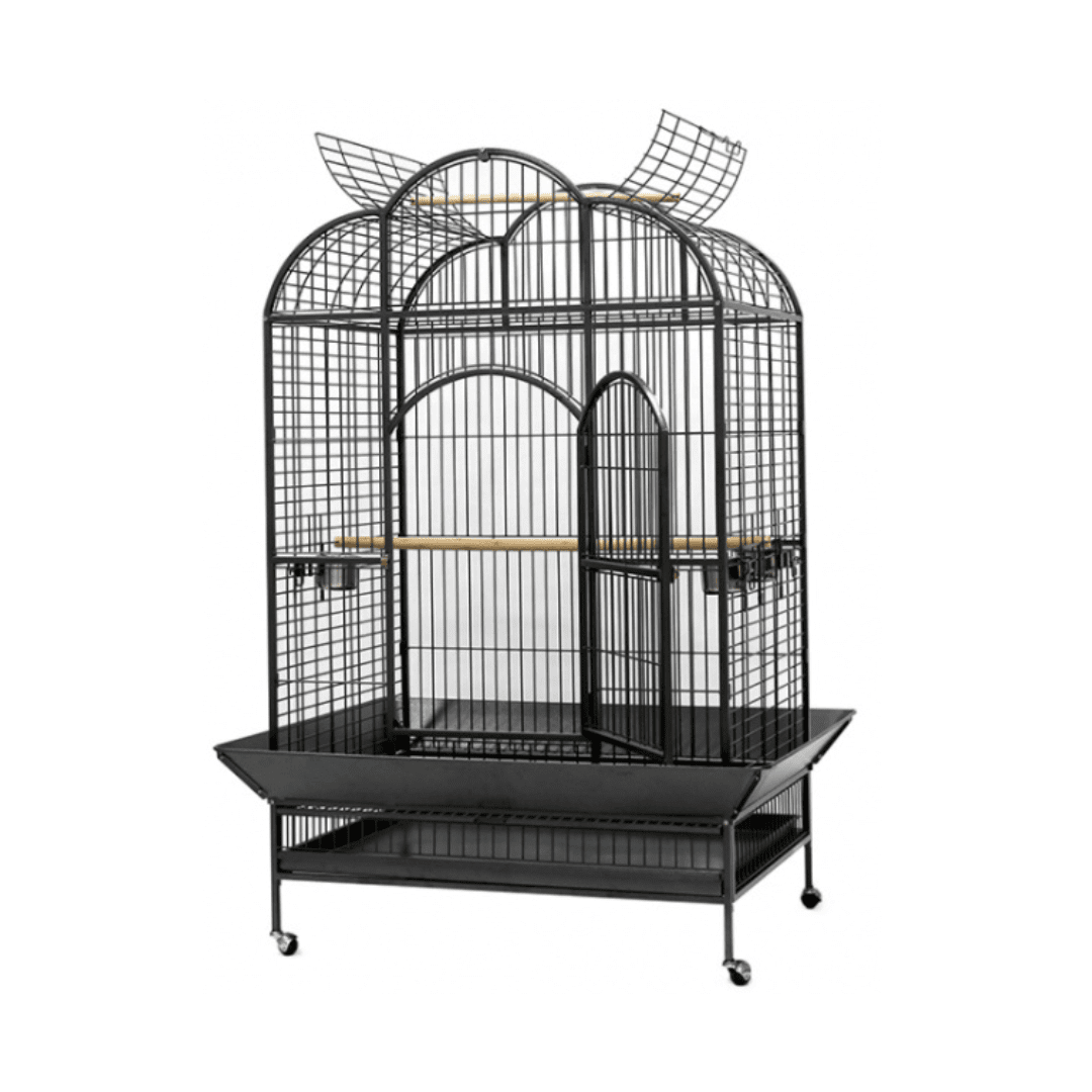 Dayang | Bird Cage A24 دايانج | قفص طيور A24 - الصورة 1