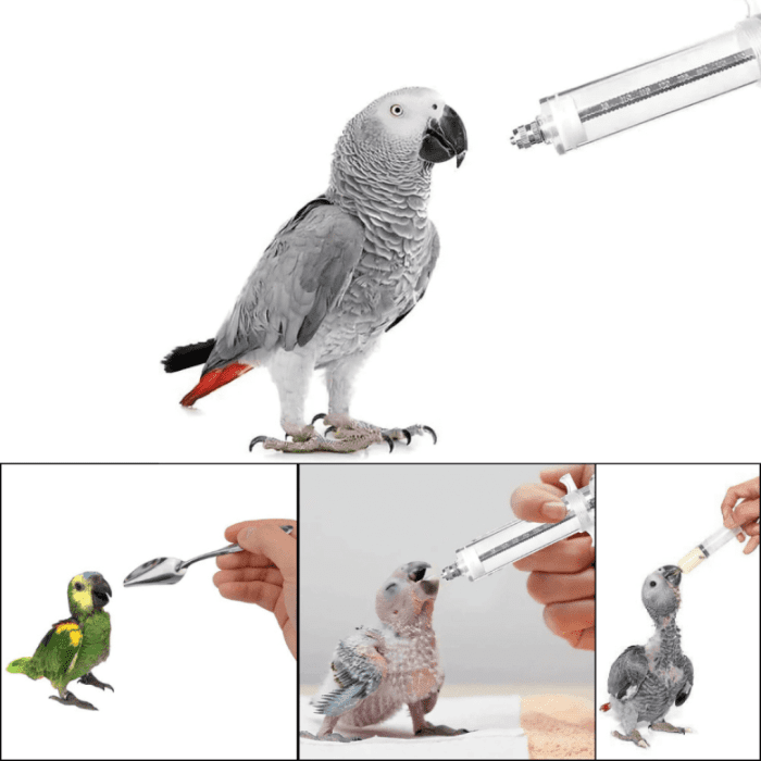 Hand Feeding Syringe for Small Pets - Image 4