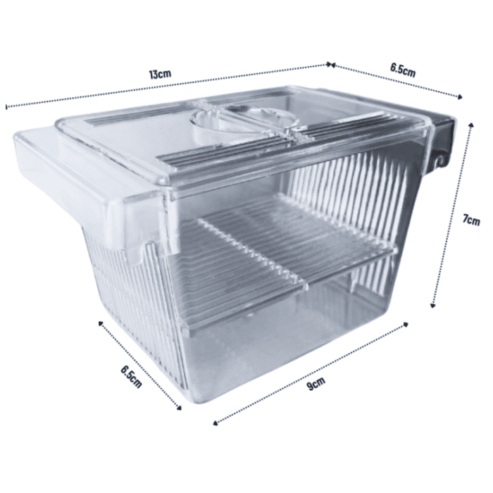 ⁦BREEDER BOX⁩ - الصورة ⁦2⁩