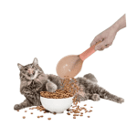 ⁦Feed Scoop For Pets ETH0193⁩ - الصورة ⁦3⁩