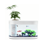 Aquaponics Aquarium