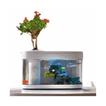 ⁦Aquaponics Aquarium⁩ - الصورة ⁦2⁩