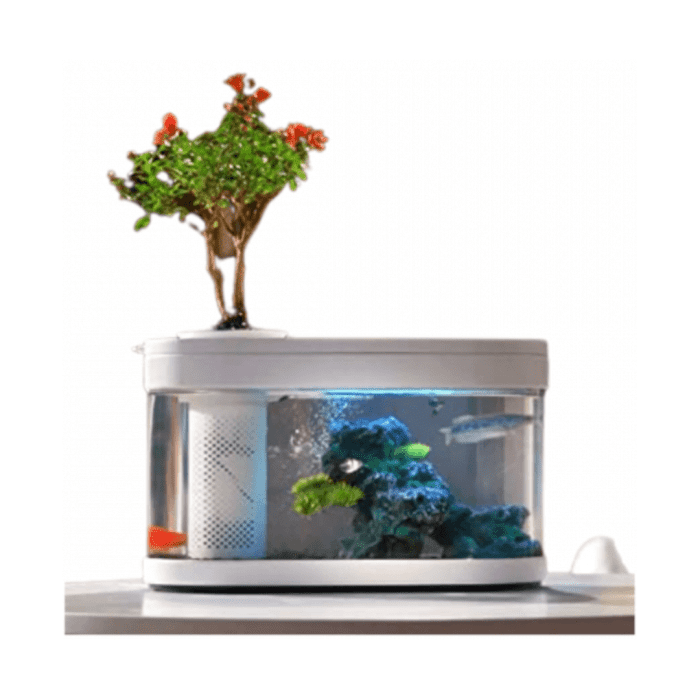 ⁦Aquaponics Aquarium⁩ - الصورة ⁦2⁩