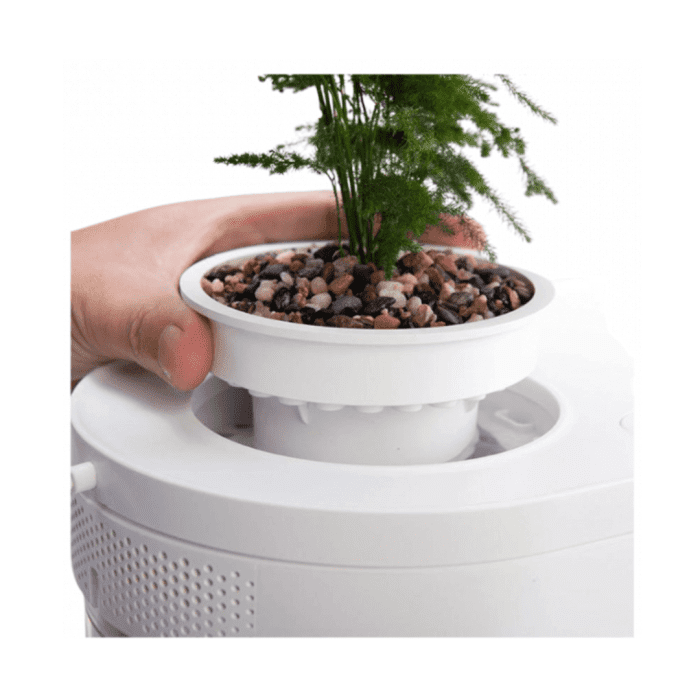 ⁦Aquaponics Aquarium⁩ - الصورة ⁦4⁩