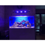 ⁦MAXSPECT Razor R420R 160W / 16000K Led Lighting System⁩ - الصورة ⁦2⁩